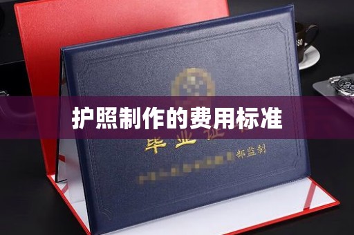 乌伊岭护照制作的费用标准