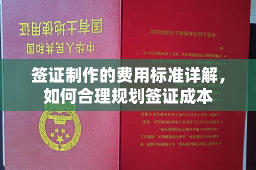 乌伊岭签证制作的费用标准详解，如何合理规划签证成本